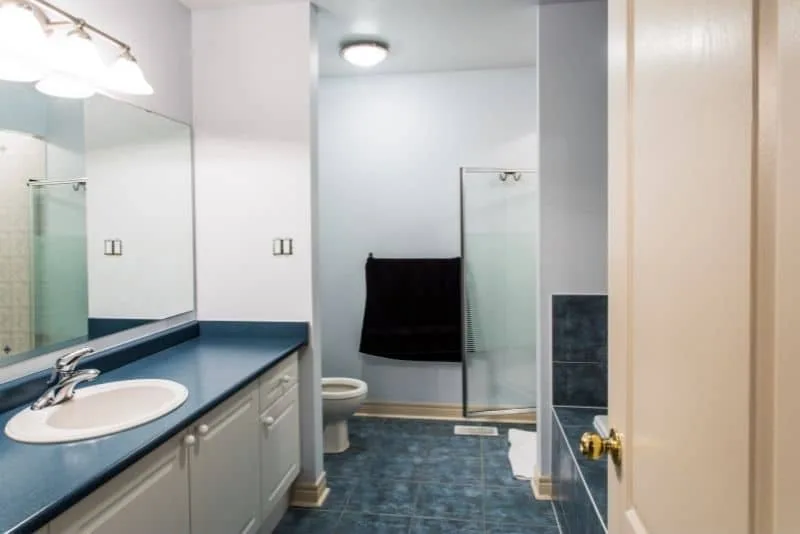Ensuite with blue benchtop and shower screen